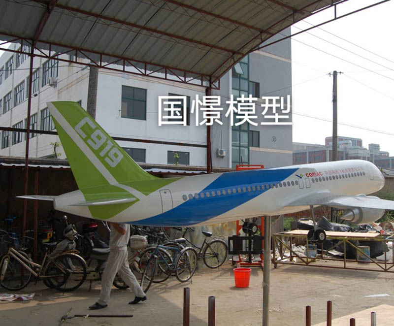 福安市飞机模型